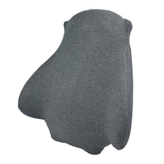Master Back Cushion