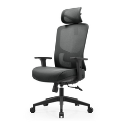 MILTON เก้าอี้เพื่อสุขภาพเออร์โกเทรน รุ่นมิลตั้น