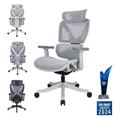 CROSS Ergotrend Ergonomic Chair