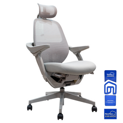 Ergomatic Plus ergonomic chair
