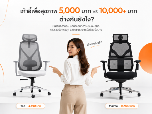 เก้าอี้เพื่อสุขภาพ 5,000 กับ 10,000 บาทขึ้นไป ต่างกันยังไง? เทียบ Yoo vs Malmo