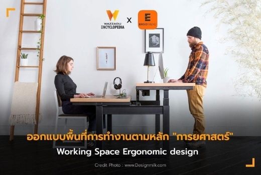 ออกแบบพื้นที่ทำงานตามหลัก "การยศาสตร์" - Ergotrend
