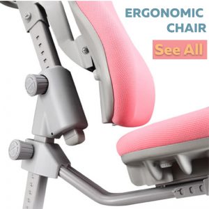 Comfpro-Ergonomic Chair