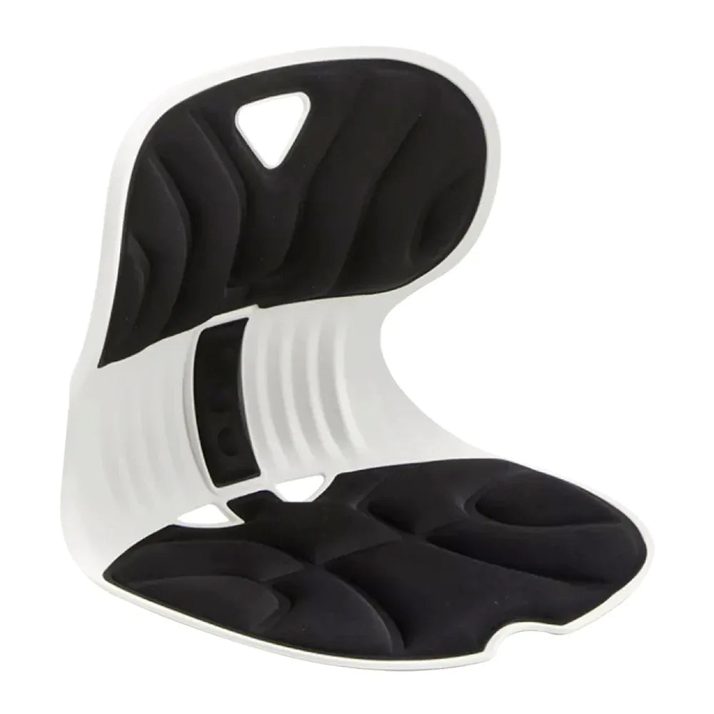 Combi Chair Sitting Posture Support เบาะรองนั่งปรับท่านั่งรุ่นคอมบิ - Ergotrend