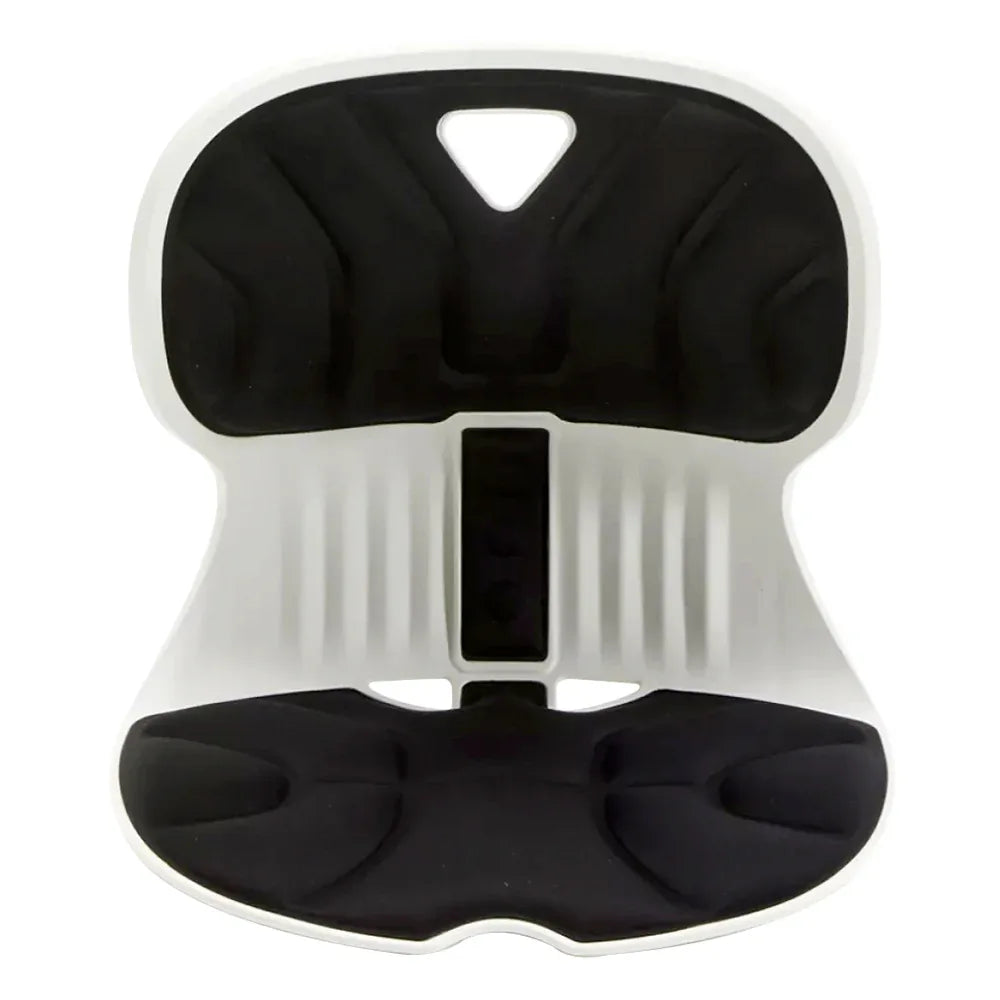 Combi Chair Sitting Posture Support เบาะรองนั่งปรับท่านั่งรุ่นคอมบิ - Ergotrend