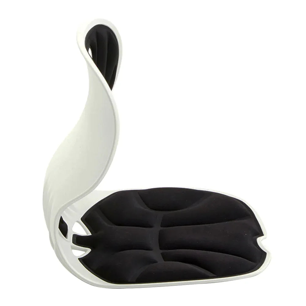 Combi Chair Sitting Posture Support เบาะรองนั่งปรับท่านั่งรุ่นคอมบิ - Ergotrend