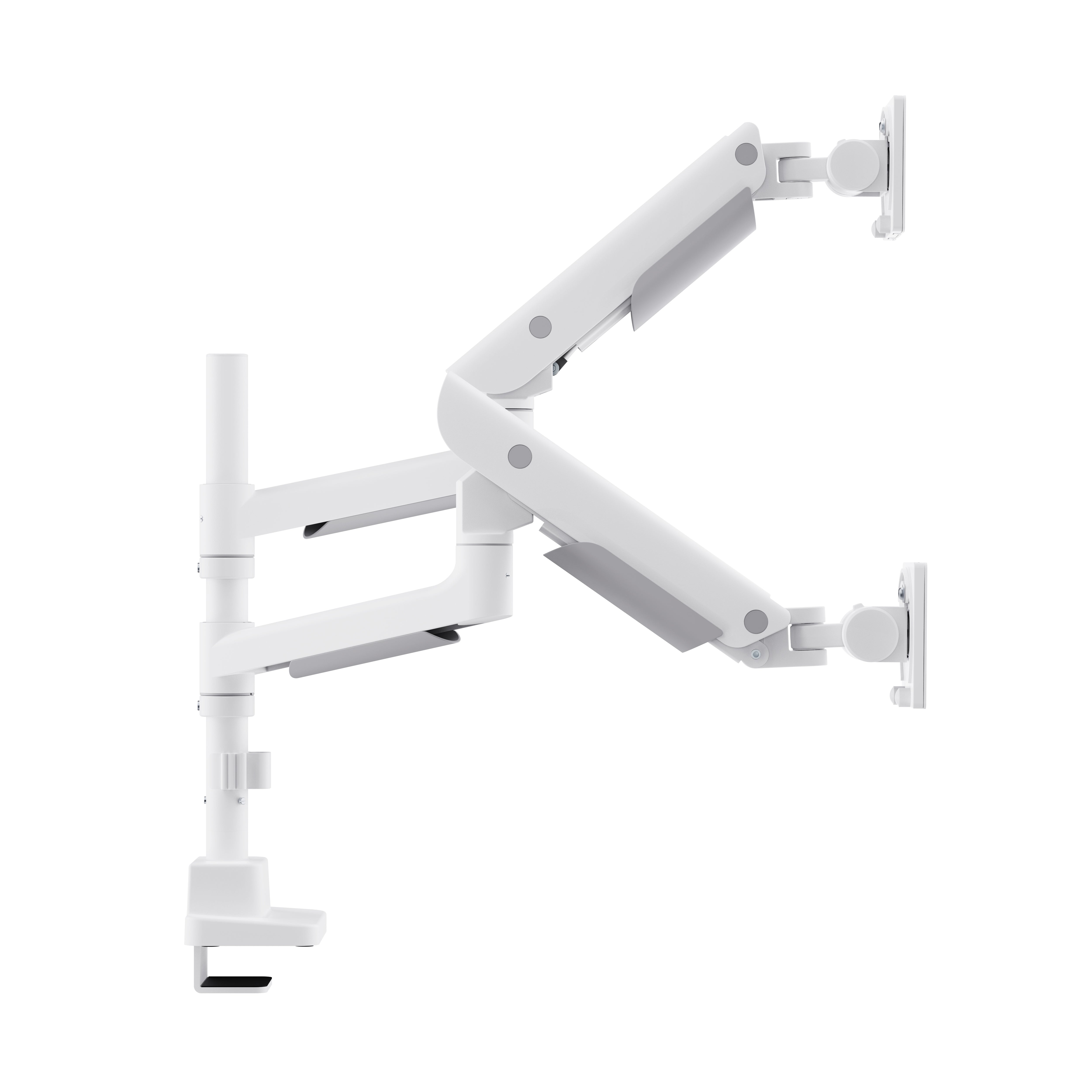 Prolift dual monitor arm แขนจับจอแบบ 2 แขน