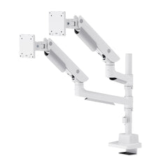 Prolift dual monitor arm แขนจับจอแบบ 2 แขน