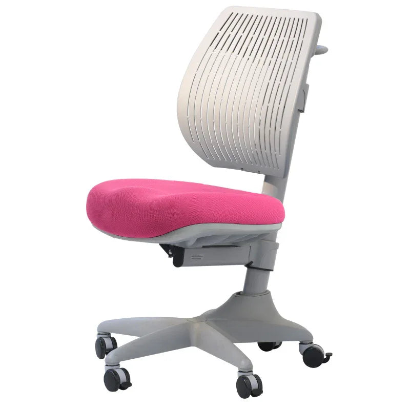 Comf-Pro เก้าอี้เพื่อสุขภาพเด็ก รุ่น คอมโปร V317 - Ergotrend