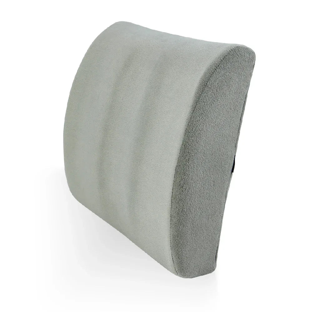 SOFTSOFT BACK CUSHION เบาะรองหลังเพื่อสุขภาพ รุ่นซอฟซอฟ - Ergotrend