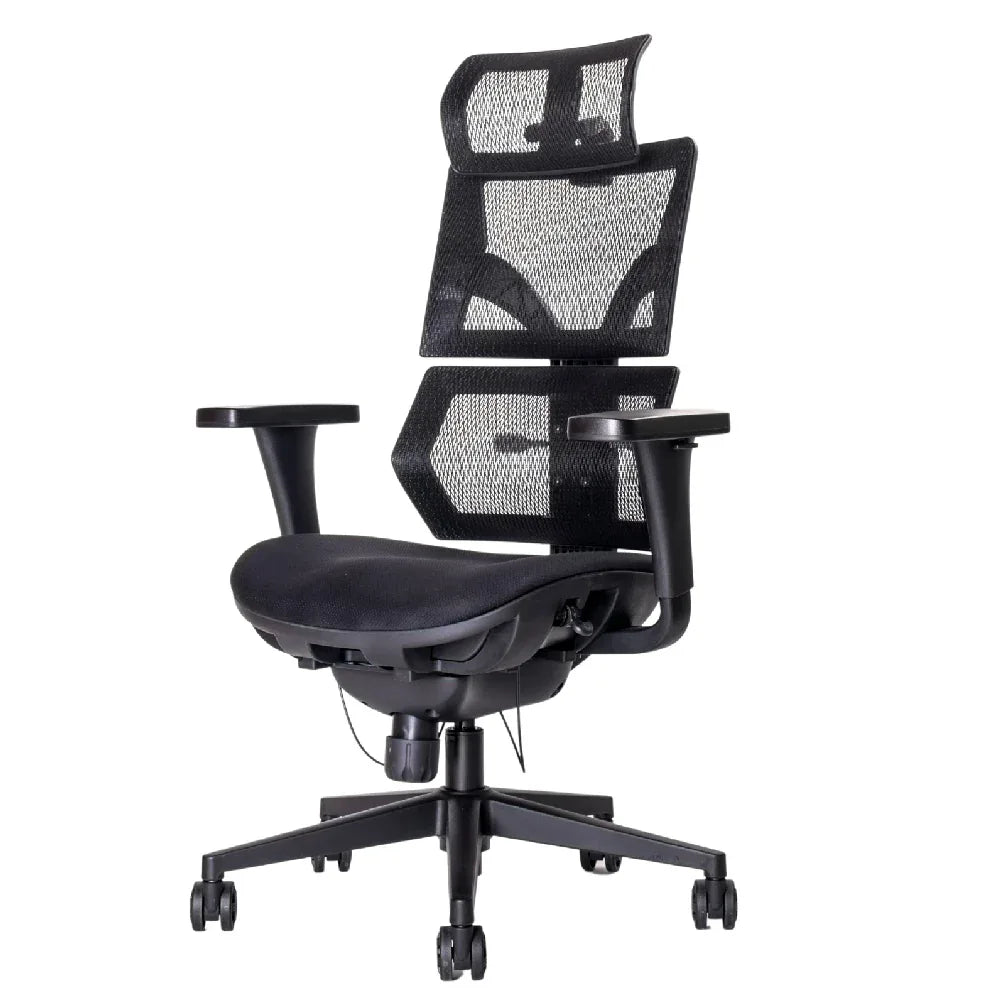 Malmo Light เก้าอี้เพื่อสุขภาพเออร์โกเทรน รุ่น มัลโม่ไลท์ - Ergotrend