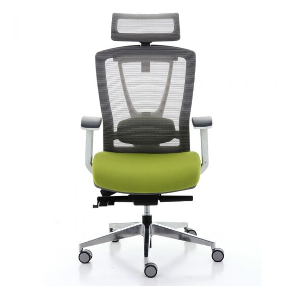 Ergotrend เก้าอี้เพื่อสุขภาพเออร์โกเทรน รุ่น ERGO-X GREEN