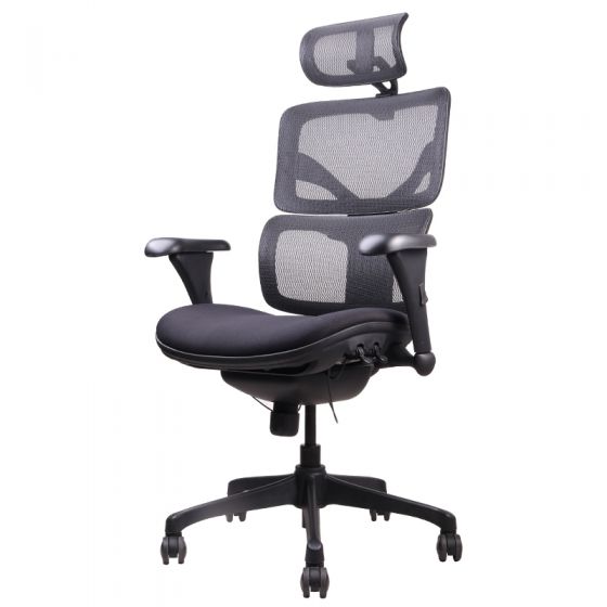 Ergotrend เก้าอี้เพื่อสุขภาพเออร์โกเทรน รุ่น DOOM-01BMF