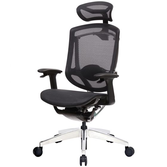 Ergotrend เก้าอี้เพื่อสุขภาพเออร์โกเทรน รุ่น Oster 