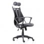 Ergotrend เก้าอี้เพื่อสุขภาพเออร์โกเทรน รุ่น Dual NL-05BPP สีดำ(Non Lock)