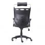 Ergotrend เก้าอี้เพื่อสุขภาพเออร์โกเทรน รุ่น Dual NL-05BPP สีดำ(Non Lock)
