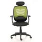 Ergotrend เก้าอี้เพื่อสุขภาพเออร์โกเทรน รุ่น Wifi-01GMP สีเขียว