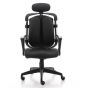 Ergotrend เก้าอี้เพื่อสุขภาพเออร์โกเทรน รุ่น Dual-01BPP สีดำ