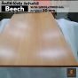 Ergotrend โต๊ะเพื่อสุขภาพเออร์โกเทรน Sit 2 Stand GEN2a (Dual motor) ไม้จริง Top Beech Thickness20mm