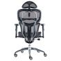 Ergotrend เก้าอี้เพื่อสุขภาพเออร์โกเทรน รุ่น Beyond Butterfly-01GMM
