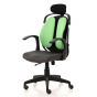 Ergotrend เก้าอี้เพื่อสุขภาพเออร์โกเทรน รุ่น Dual-03GFF สีเขียว