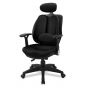 เก้าอี้เพื่อสุขภาพเออร์โกเทรน รุ่น Dual-06BFF สีดำ