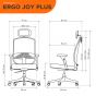 Ergotrend เก้าอี้เพื่อสุขภาพ รุ่น Ergo Joy Plus