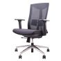 Ergotrend เก้าอี้เพื่อสุขภาพเออร์โกเทรน รุ่น Dual-X1 สีดำ