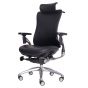 Ergotrend เก้าอี้เพื่อสุขภาพเออร์โกเทรน รุ่น Ultimate Portsea