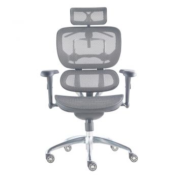 Ergotrend เก้าอี้เพื่อสุขภาพเออร์โกเทรน รุ่น Beyond Signature-01GMM